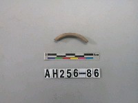 藏品(紅色泥質陶環殘件)的圖片